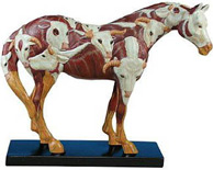 Painted Pony - CowPony