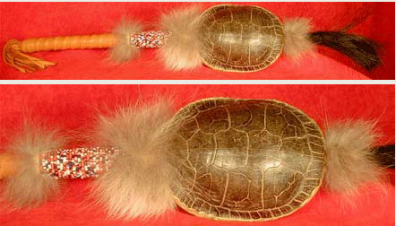 Turtle Shell Rattle