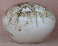 Horse Hair - Native Design Bear Claw Seed Pot