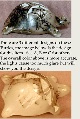 Horse Hair Turtle