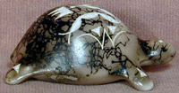 Horse Hair Turtle