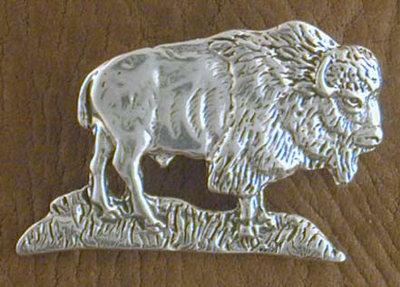 SS Buffalo Pin