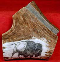 Scrimshaw Buffalo Card Holder