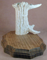 Antler and Wood Knife Stand