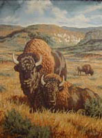 Buffalo Wall Hanging